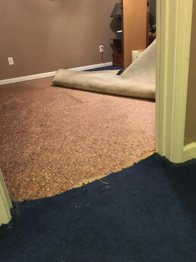 Carpet pad removal revealing water damage during Drying & Dehumidification in Bensenville