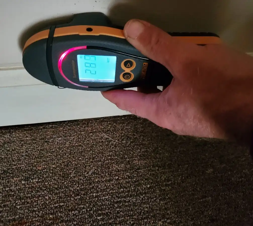 Moisture detection at baseboard during Sewage Cleanup & Sanitation in Bensenville